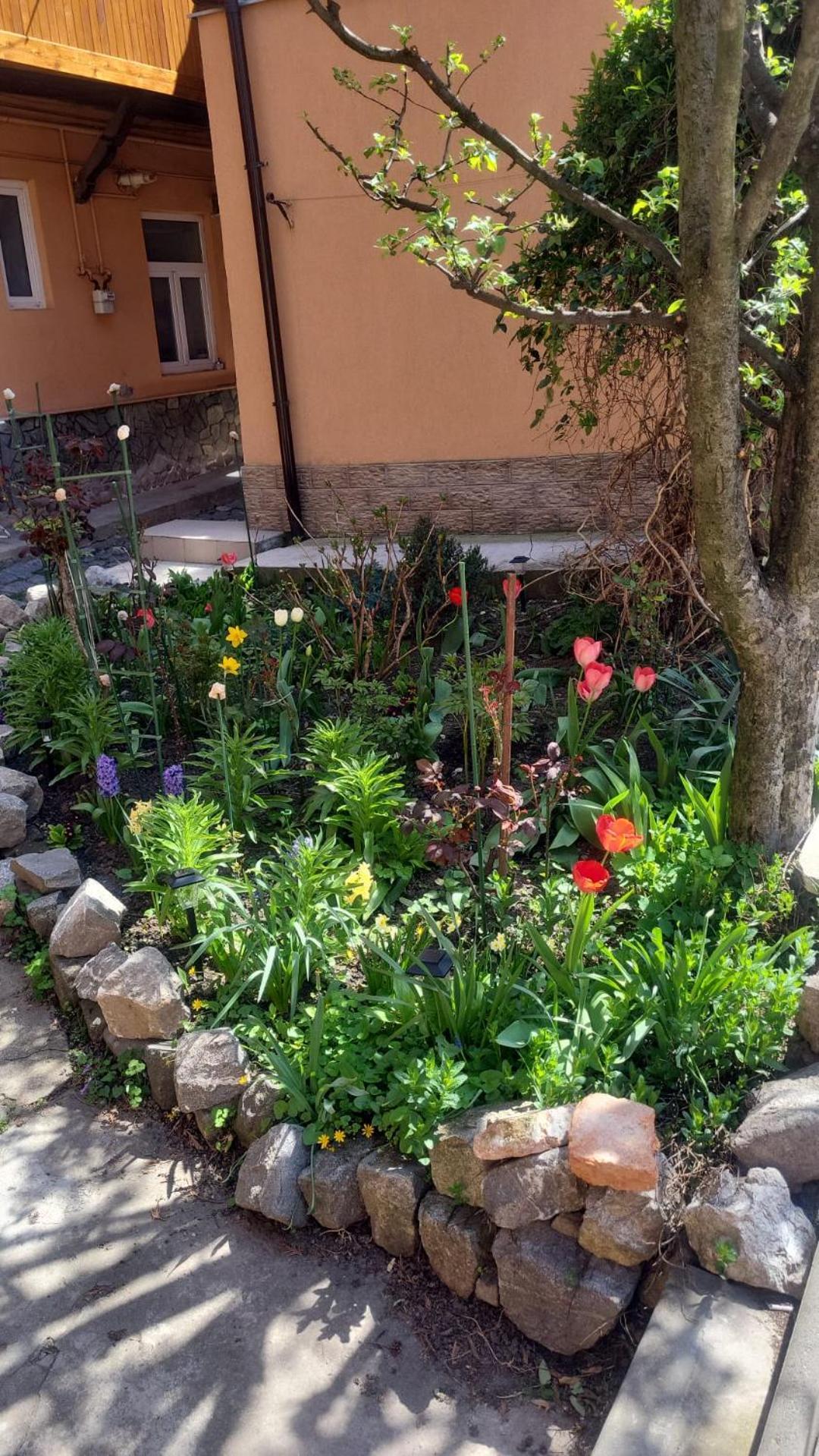 John Residence Apartment Brasov With Parking Option المظهر الخارجي الصورة